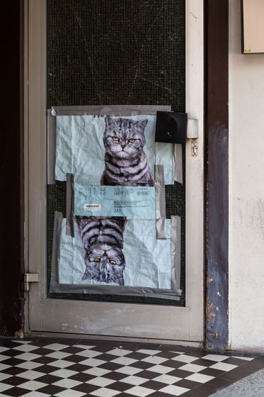 Door
