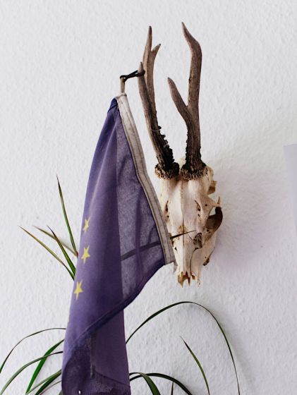 Flag and Hunting Trophy