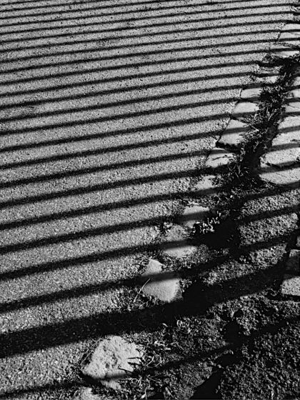 Shadows