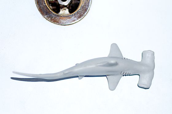 Hammerhead