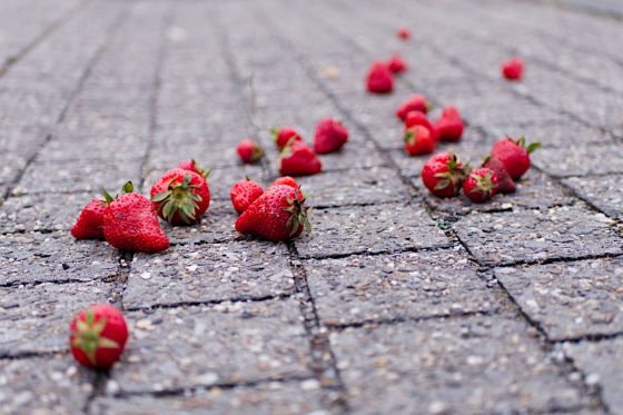 Strawberries