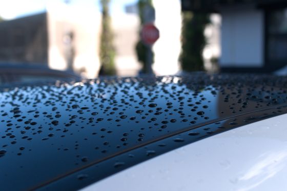 Raindrops